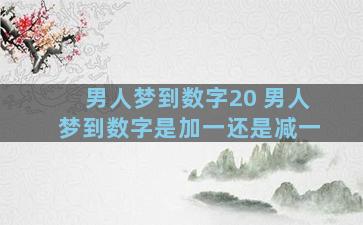 男人梦到数字20 男人梦到数字是加一还是减一